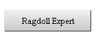 Ragdoll Expert