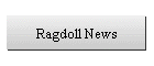 Ragdoll News