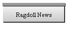 Ragdoll News