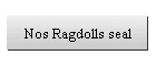 Nos Ragdolls seal