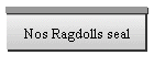 Nos Ragdolls seal